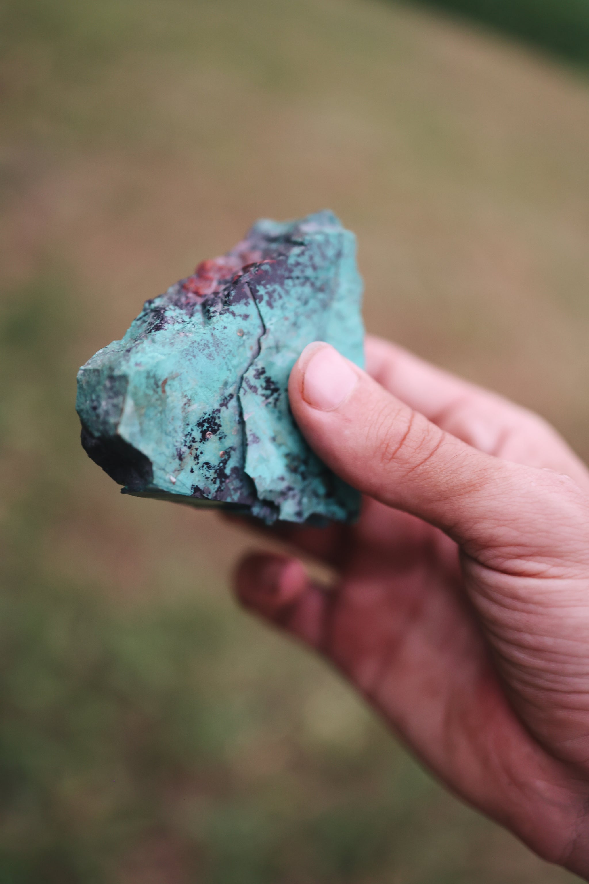 BIRTHED to awaken connection in a world of disconnection; a call to remember, cultivate, and embody our creative potential, to alchemize the world within and around us.